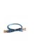LEGRAND patch kábel RJ45-RJ45 Cat6 árnyékolt (F/UTP) PVC 0,5 méter kék d: 6mm AW