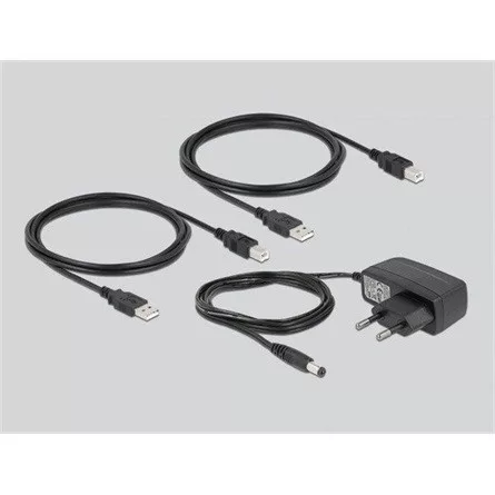 Delock USB 2.0 kapcsoló 2 személyi számítógép - 2 eszköz