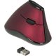 Delock Ergonomic vertical optical 5-button mouse 2.4 GHz wireless