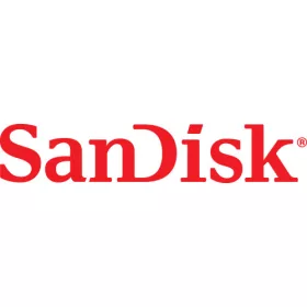   SANDISK MICRO SDHC KÁRTYA HIGH ENDURANCE 32GB,100 MB/S,C10,U3,V30