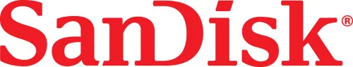 SANDISK MICRO SDXC KÁRTYA HIGH ENDURANCE 128GB,100 MB/S,C10,U3,V30