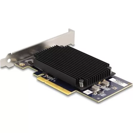 Delock PCI Express x8 Hailo-8  AI processzor x2 AI-Accelerator