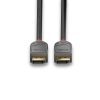 LINDY 1m DisplayPort 1.4 kábel, Anthra Line