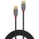 LINDY 0.5m USB 2.0  Type C kábel, Anthra Line