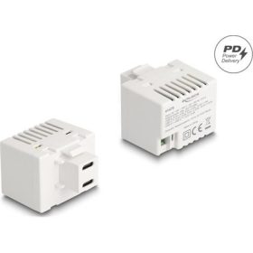   Delock Keystone Modul 2 x USB Type-C  töltő porttal PD 20 W fehér