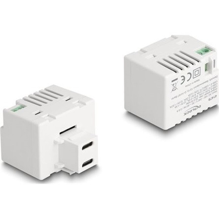 Delock Keystone Modul 2 x USB Type-C  töltő porttal PD 20 W fehér
