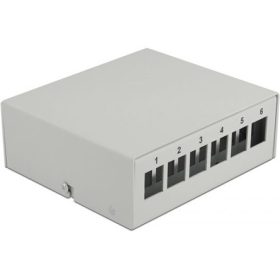Delock Szürke 6 portos Keystone próbapanel