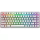 DELL SNP DELL Alienware Pro Wireless Gaming Keyboard - US (QWERTY) (Lunar Light)