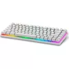 DELL SNP DELL Alienware Pro Wireless Gaming Keyboard - US (QWERTY) (Lunar Light)