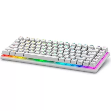 DELL SNP DELL Alienware Pro Wireless Gaming Keyboard - US (QWERTY) (Lunar Light)