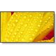 NEC M651-2 65IN UHD 500CD/QM LED 24/7 SDM CM