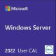 Dell Microsoft_WS_2022_10CALs_User