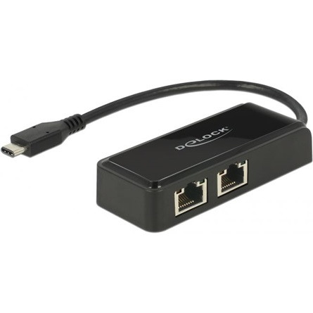 Delock Realtek RTL8153 1Gb/s USB-C Dual RJ45 hálózati adapter