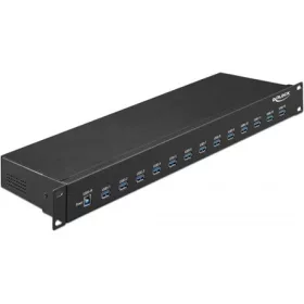   Delock 19? ipari hub 13 x USB 3.1 Gen 1 A-típusú csatlakozóval
