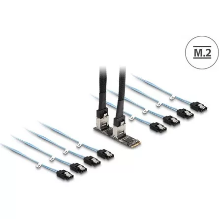 Delock Converter M.2 2280 kulcs B+M dugó 8 x SATA-hoz