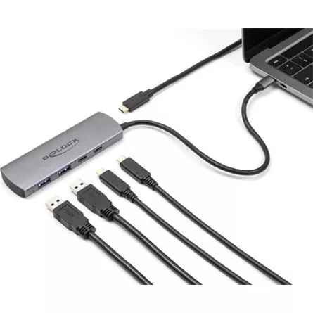 Delock USB 10 Gbps Hub 2 A-típusú USB port és 2 USB Type-C  port USB Type-C  csatlakozóval és egy további tápporttal