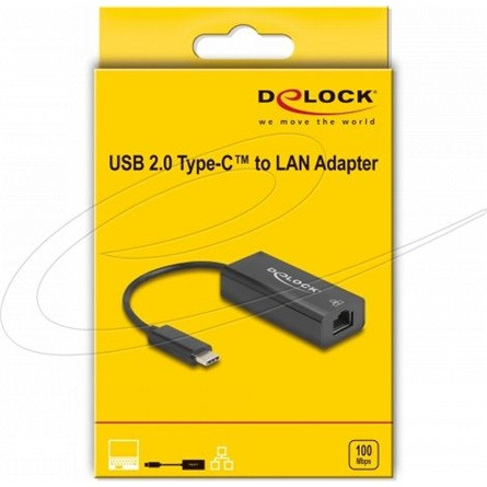 Delock Realtek RTL8152 100Mb/s USB-C RJ45 hálózati adapter