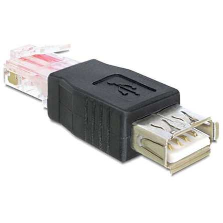 Delock ADA Delock 65234 USB anya - RJ45 anya adapter