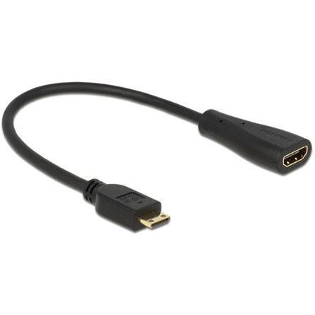 Delock KAB Delock 65650 mini-C apa > A anya High Speed HDMI kábel Ethernettel - 0,23m