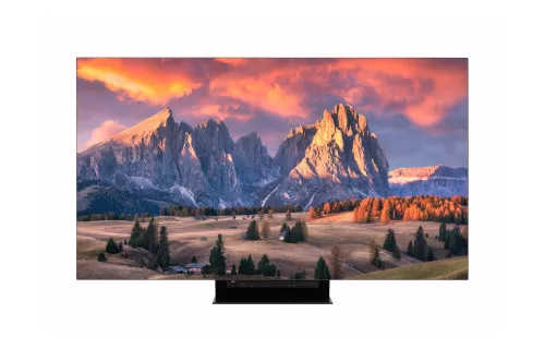 LG 65" 65EP5G OLED Pro monitor