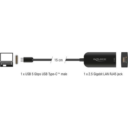 Delock USB Type-C  adapter   2,5 Gigabit LAN