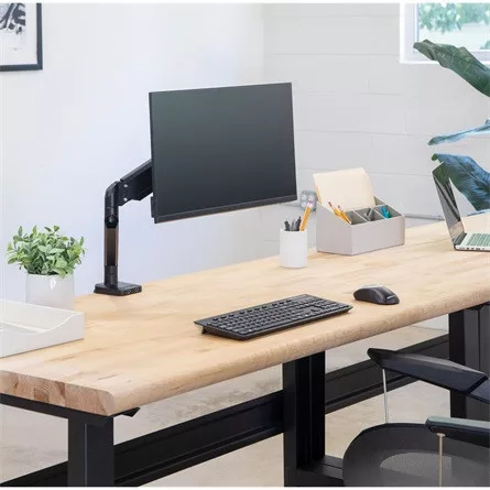 FELLOWES Monitortartó kar, egy monitorhoz, "Platinum Series™ Single"