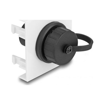 Delock Easy 45 Module SuperSpeed USB 5 Gbps (USB 3.2 Gen 1) USB Type-A anya, 45 x 45 mm