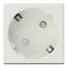 Delock 45 x 45 mm méretű, 45  elrendezésű Easy 45 földelt hálózati csatlakozóaljzat