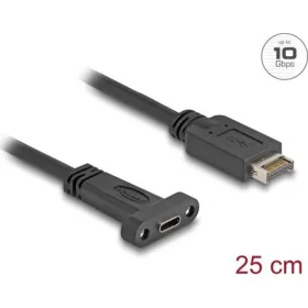  Delock USB-E A Key -> USB-C 3.2 Gen2 M/F adatkábel 0.25m fekete panel-mount