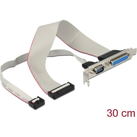 Delock Slot Bracket > 1 x Parallel, 1 x Serial layout: twisted