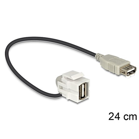 Delock KAB Delock 86327 Keystonemodul USB 2.0 A anya/USB 2.0 A anya 110° kábel - 0,24m