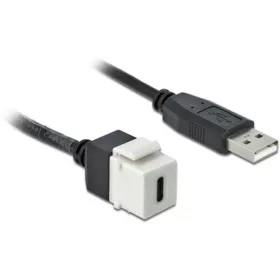 Delock USB-A 2.0 -> USB-C M/F keystone modul 0.25m fehér