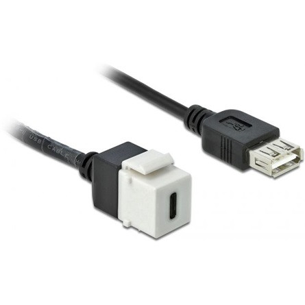 Delock USB-A 2.0 -> USB-C F/F keystone modul 0.25m fehér