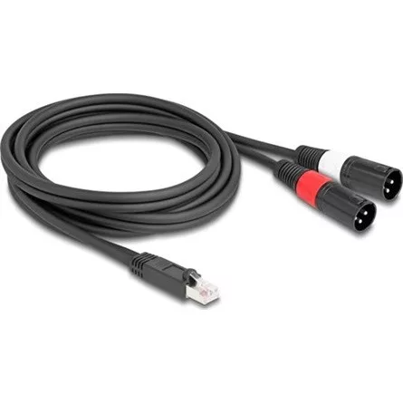 Delock Adapter RJ45 kábel apa - 2 XLR 3 tűs apa fekete színű 2 m