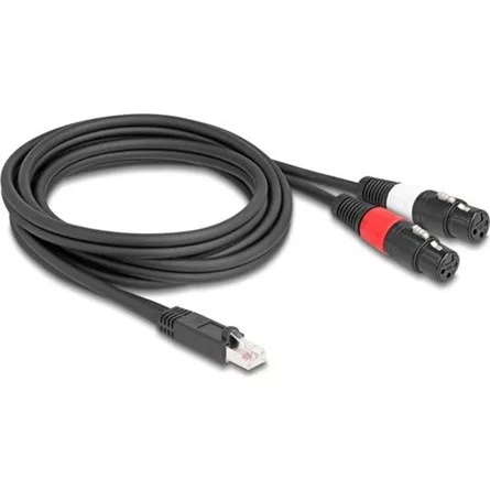 Delock Adapter RJ45 kábel apa - 2 x XLR 3 tűs anya fekete színű 2 m