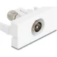 Delock Easy 45 Module IEC apa-F anya fehér