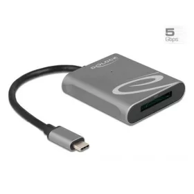 Delock 91741 USB-C XQD 2.0 kártyaolvasó szürke