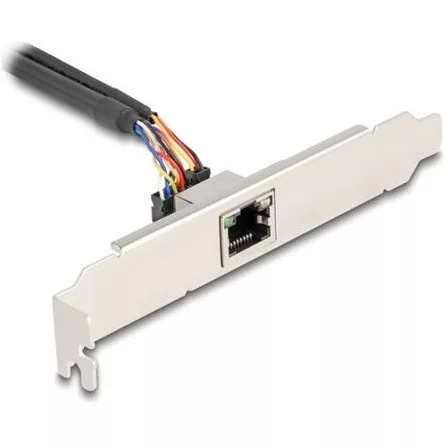 Delock Mini PCIe I/O PCIe teljes méretű 1 x RJ45 Gigabit LAN