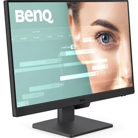 BenQ Monitor 23,8" - GW2490 (IPS, Eye-Care, Brightness intellige16:9, 1920x1080, 5ms, 250cd/m2, 100Hz, HDMI/DP, Speaker)