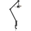 Delock Logilink Professional Microphone Boom Arm Stand, black