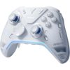 Flydigi Apex 5 Bluetooth / USB / vezeték nélküli gamepad játékvezérlő szürke