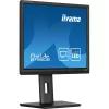 iiyama Prolite monitor, TN,  19", 1980S-B1, 1280x1024, 5:4, 250cd, 3ms, HDMI/DP