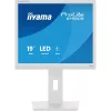 iiyama Prolite monitor, TN,  19", 1980S-W1, 1280x1024, 5:4, 250cd, 3ms, HDMI/DP, fehér