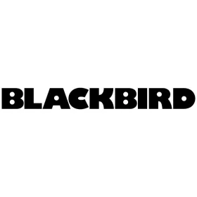   BLACKBIRD Átalakító Adapter HDMI male to DVI female, fekete