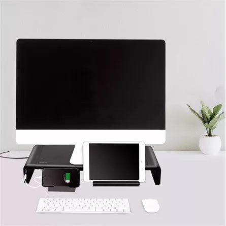 Delock Logilink Tabletop monitor riser, 520 mm long, foldable, 3port Hub