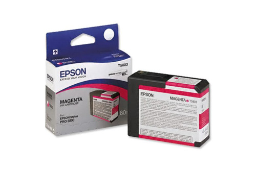 Epson bíbor tintapatron, T580300