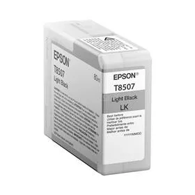 EPSON Singlepack Light Black T850700