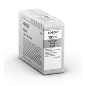 EPSON Tintapatron Singlepack Light Light Black T850900