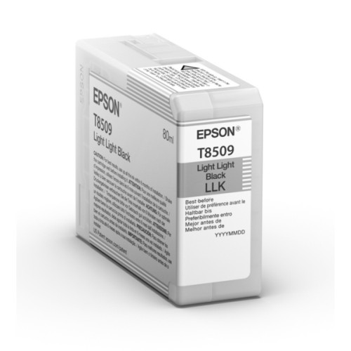 EPSON Singlepack Light Light Black T850900