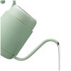BUYDEEM Gooseneck Pour Over Coffee Kettle, model CD2006, color Cozy Greenish